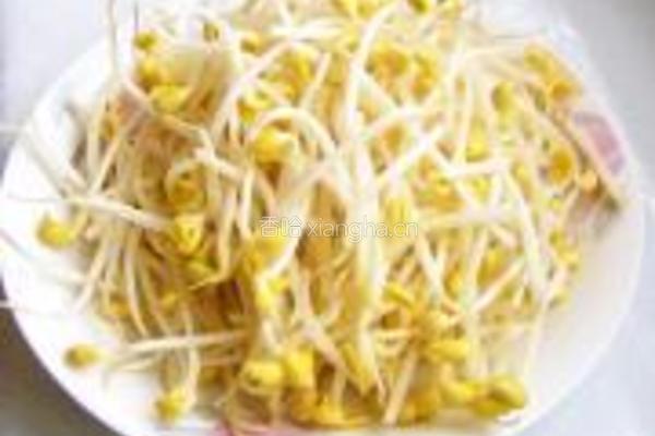 水晶粉炒豆芽的做法图解1