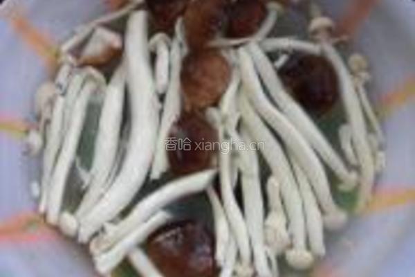 鲜菇土鸡煲的做法图解7