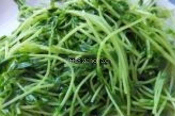 豌豆苗虾仁的做法图解5