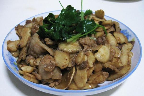 荸荠肉片