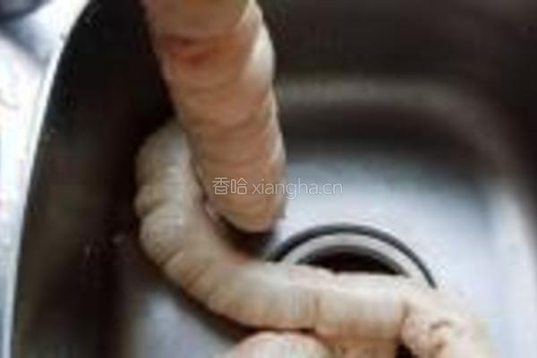 青菜煲肥肠的做法图解4