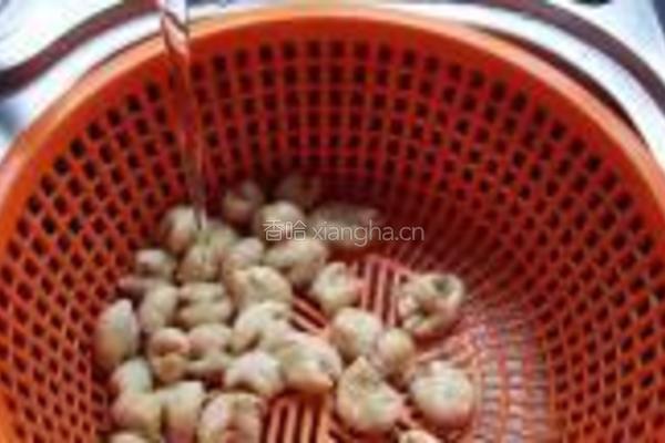 青菜煲肥肠的做法图解7