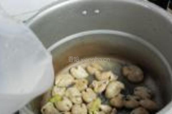 青菜煲肥肠的做法图解9