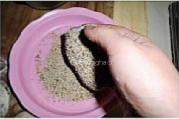 芝麻椒盐烧饼的做法图解14