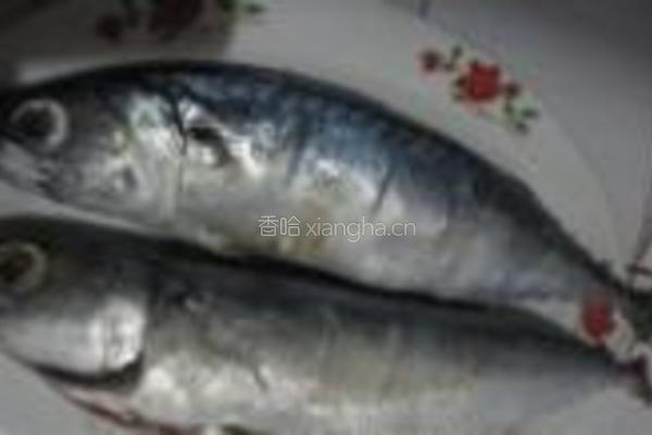 鲅鱼炖土豆的做法图解1