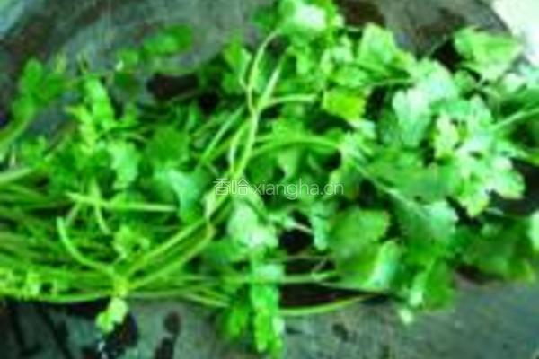 香菇卤鸡腿的做法图解13