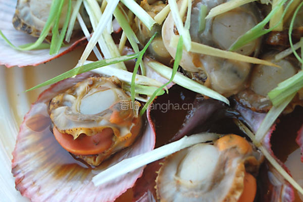 油泼扇贝