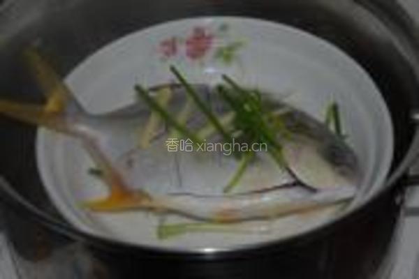 清蒸金鲳鱼的做法图解3