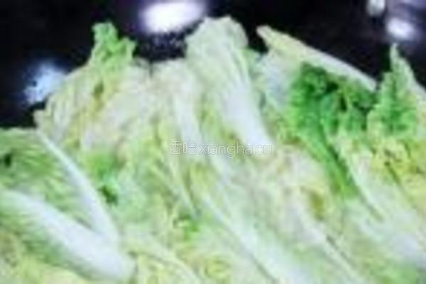 娃娃菜煲的做法图解5
