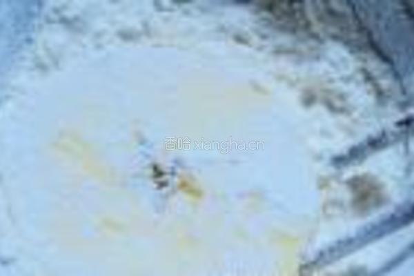 薄荷炼乳苹果排的做法图解4