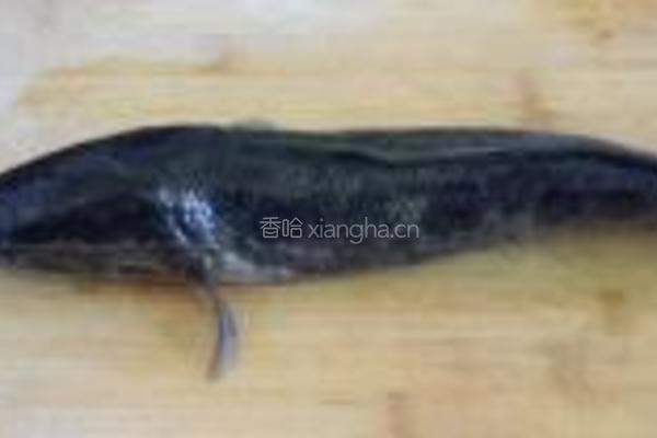 清蒸生鱼的做法图解1