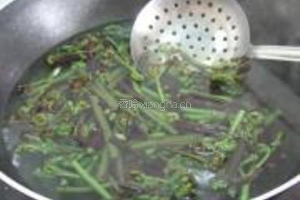 蕨菜炒腊肉的做法图解3