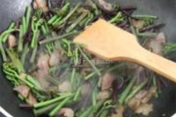 蕨菜炒腊肉的做法图解9