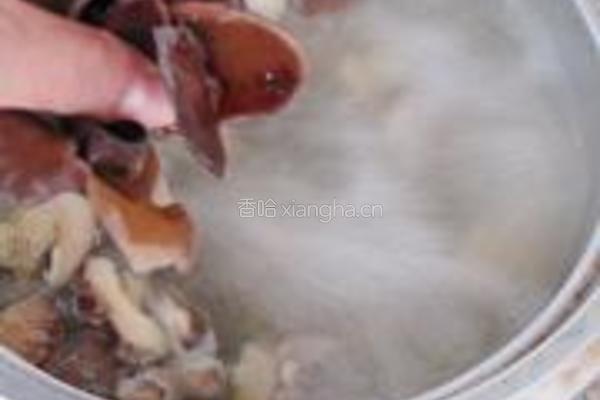 香菇鸡汤的做法图解6