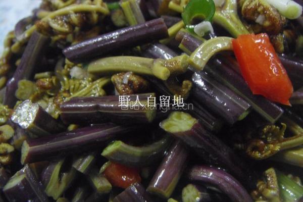 凉拌野蕨菜