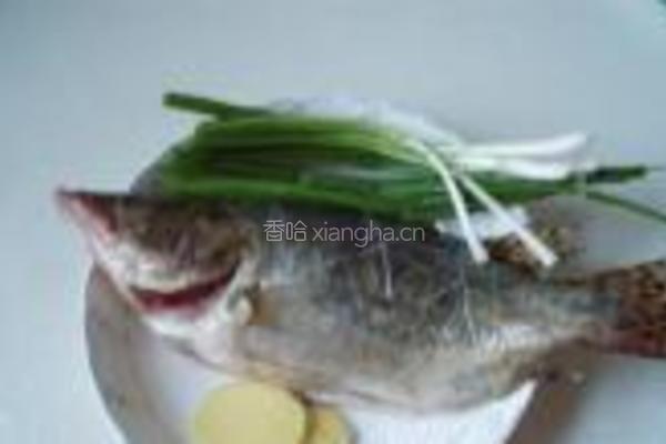 家常桂鱼的做法图解1