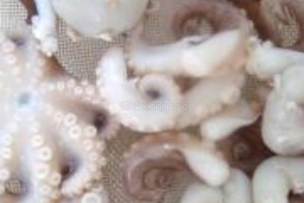 酱烧八爪鱼的做法图解6
