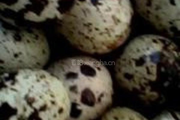 蔬菜火锅的做法图解1