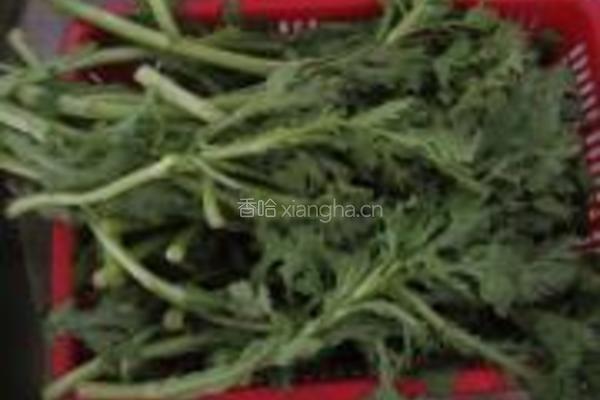 茼蒿肉馅饺子的做法图解2