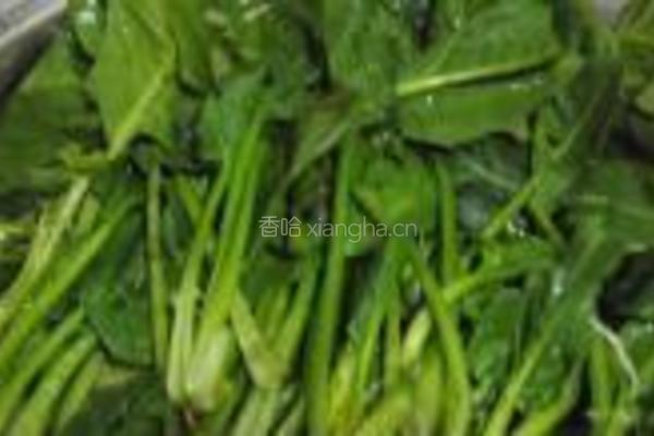 陈醋菠菜花生米的做法图解1