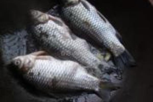苏子叶泡菜烧鲫鱼的做法图解5