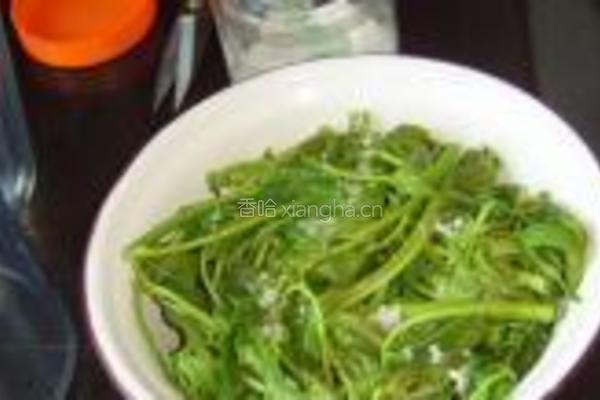 盐渍香椿的做法图解10