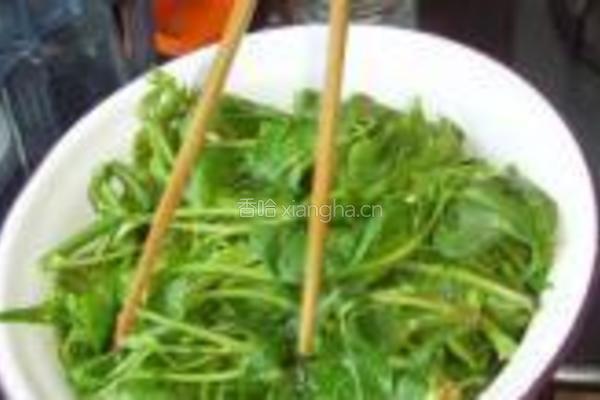 盐渍香椿的做法图解11