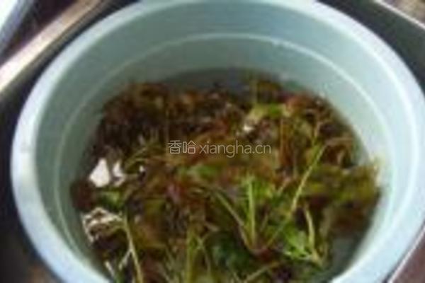 盐渍香椿的做法图解2