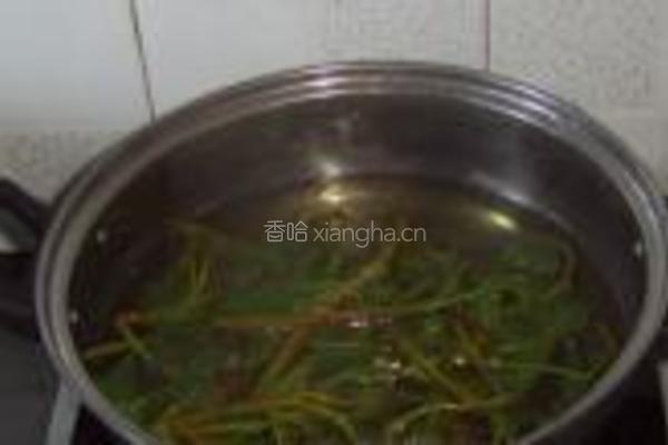 盐渍香椿的做法图解5