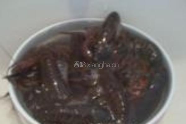 酒香小龙虾的做法图解1
