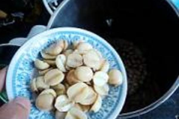 花生莲子豆浆的做法图解4