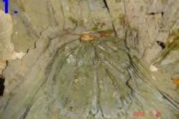 裹蒸粽的做法图解11