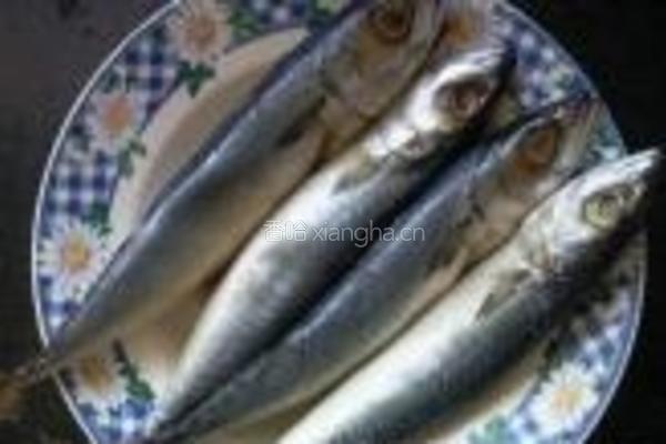 青鱼白菜豆腐锅的做法图解1