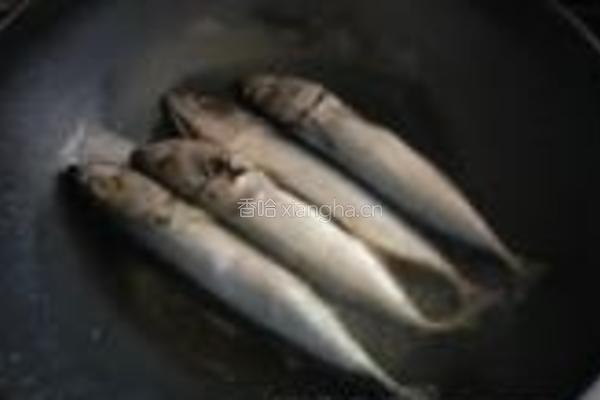 青鱼白菜豆腐锅的做法图解5