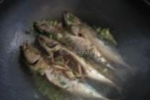 青鱼白菜豆腐锅的做法图解6