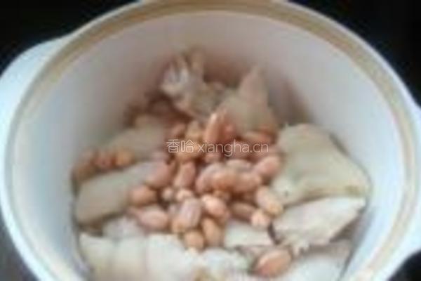 黄豆花生猪蹄煲的做法图解10