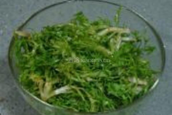 拌苦菊的做法图解5