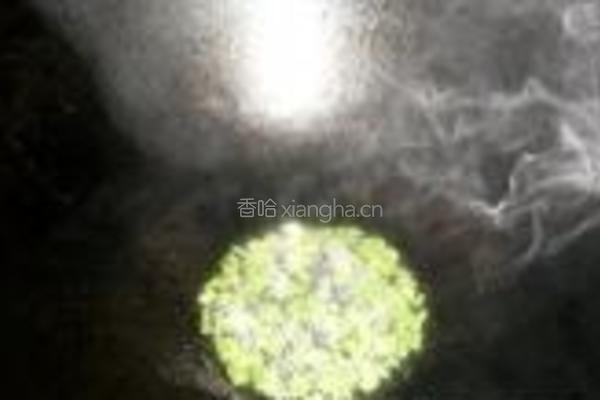葱香蚕豆的做法图解3