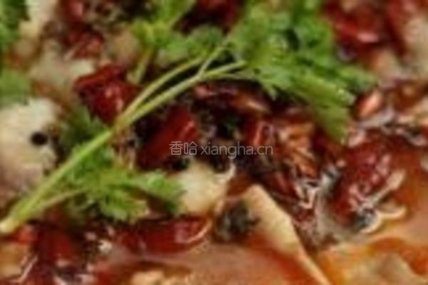 水煮鱼的做法图解17