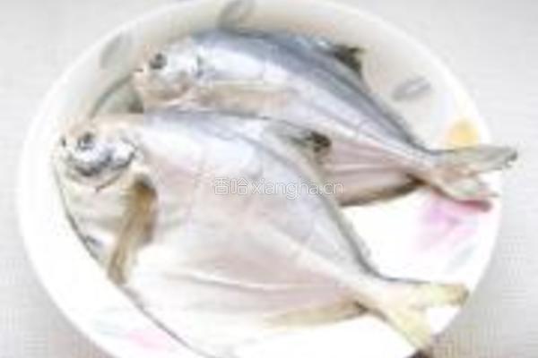红烧鲳鱼的做法图解1