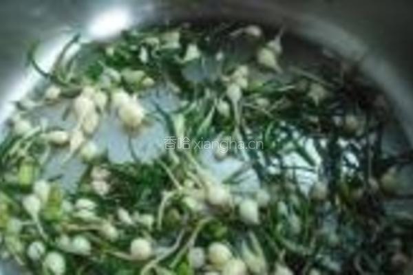 小根蒜鸡蛋炒豆腐的做法图解9