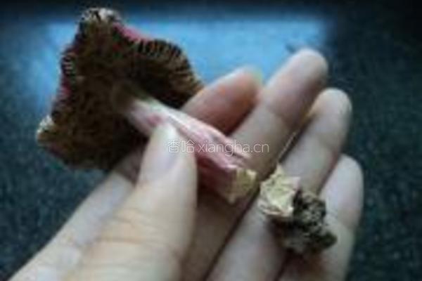 红菇鸭丝粥的做法图解2