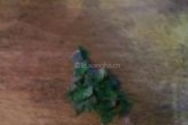 冬瓜干贝汤的做法图解6