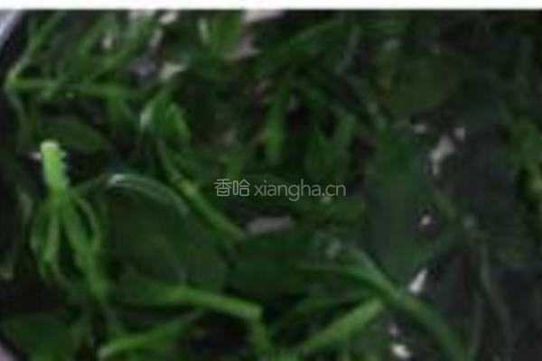 姜末穿心莲的做法图解2