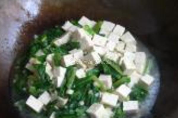 油麦菜炖豆腐的做法图解6