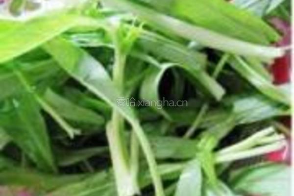 黄鳝炒空心菜的做法图解4