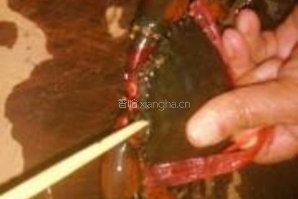 香烤红膏蟹的做法图解2