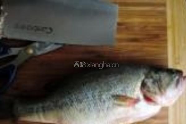 椒汁蒸鲈鱼的做法图解1