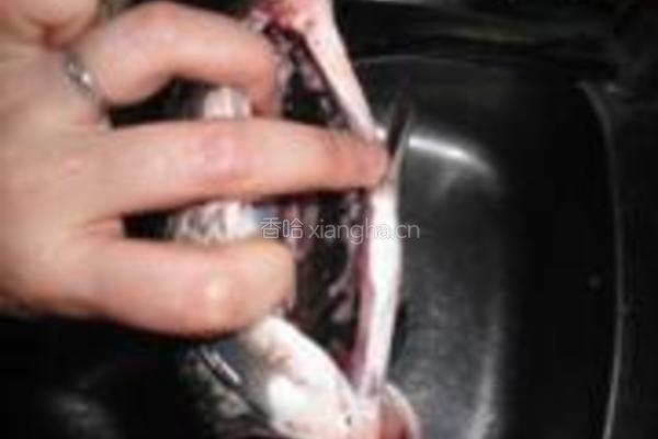 海带豆腐鲫鱼汤的做法图解2