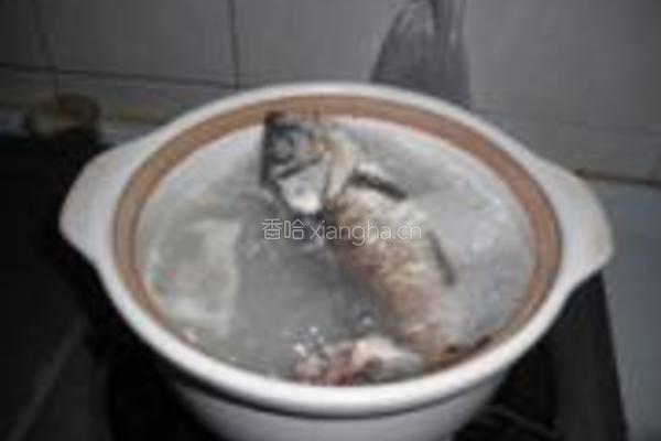 海带豆腐鲫鱼汤的做法图解5